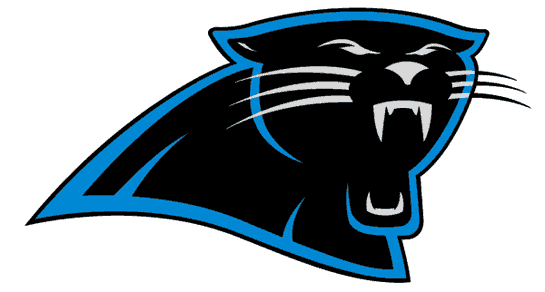 Carolina Panthers 1995-2011 Primary Logo t shirts DIY iron ons